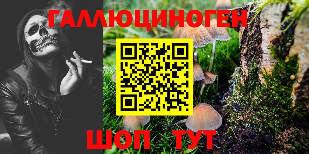 Галлюциногенные грибы Psilocybe Комсомольск-на-Амуре