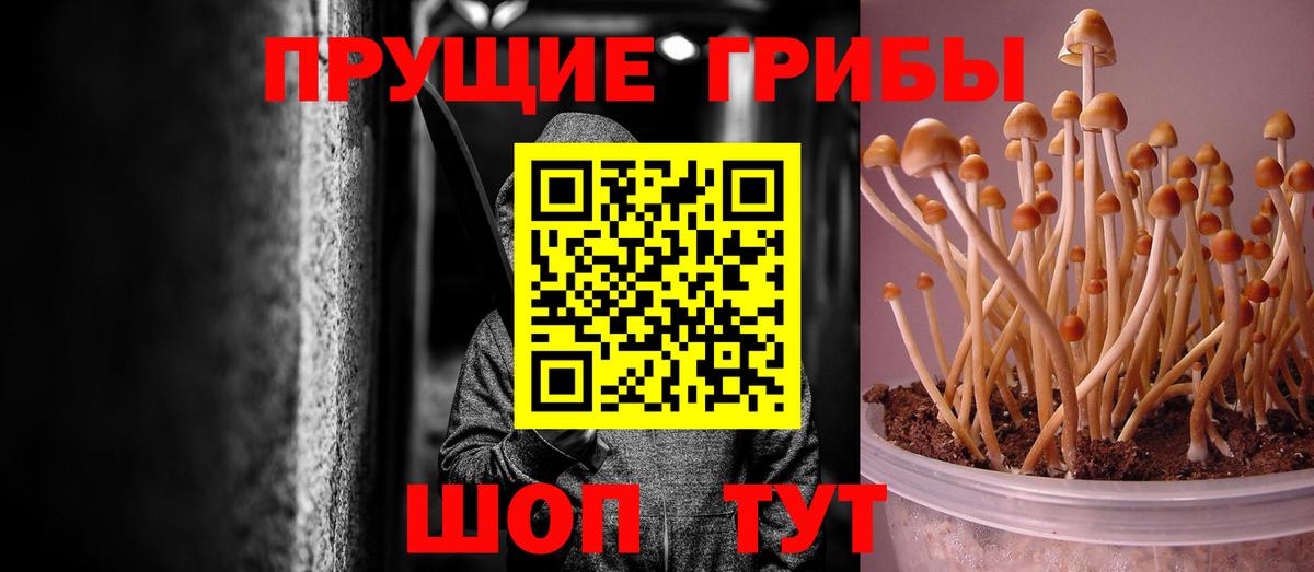 Псилоцибиновые грибы GOLDEN TEACHER  Вход с VPN  Галлюциногенные грибы ЛСД  Комсомольск-на-Амуре 